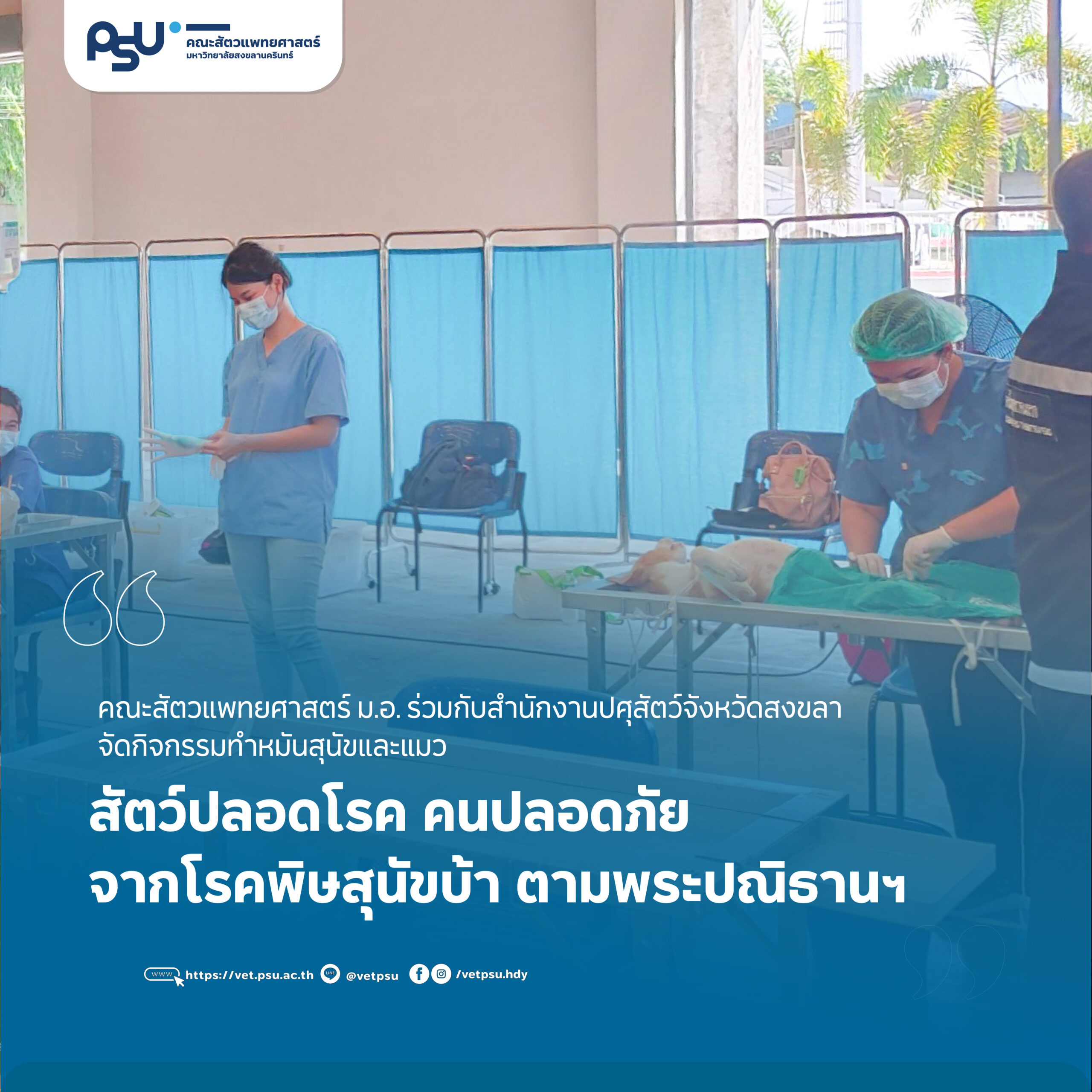 Artboard 1 copy 5@5x-100