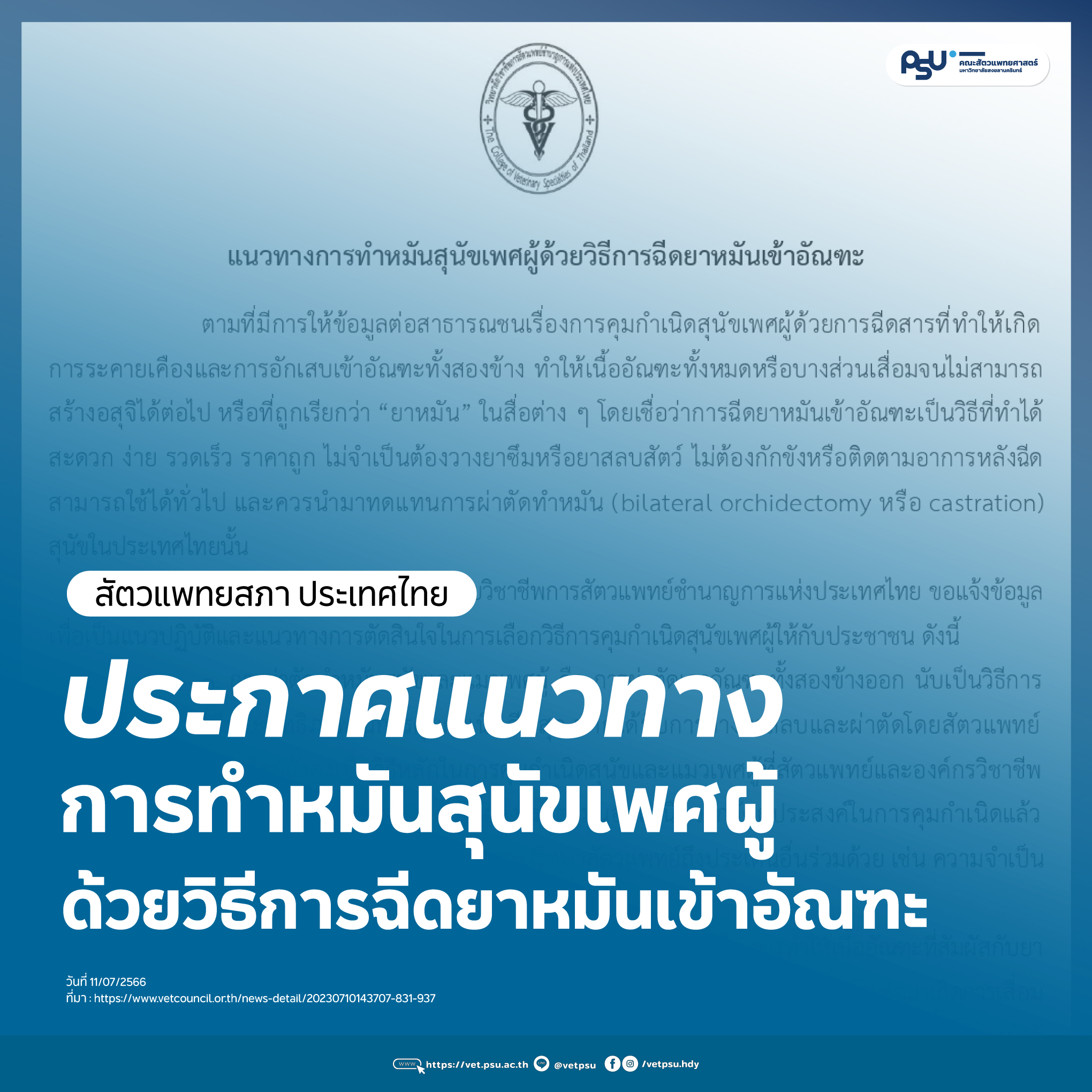 สัตวแพทยสภาเตือนฉีดอัณฑะทำหมันสุนัข