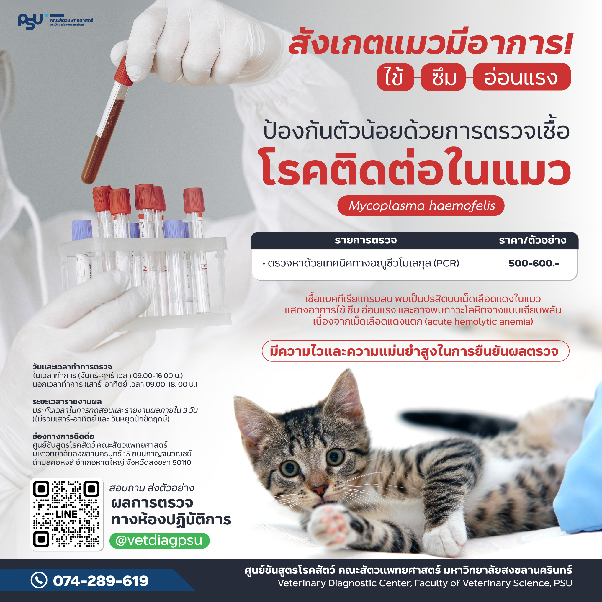Artwork_ตรวจMycoplasma_แมว-Edit2