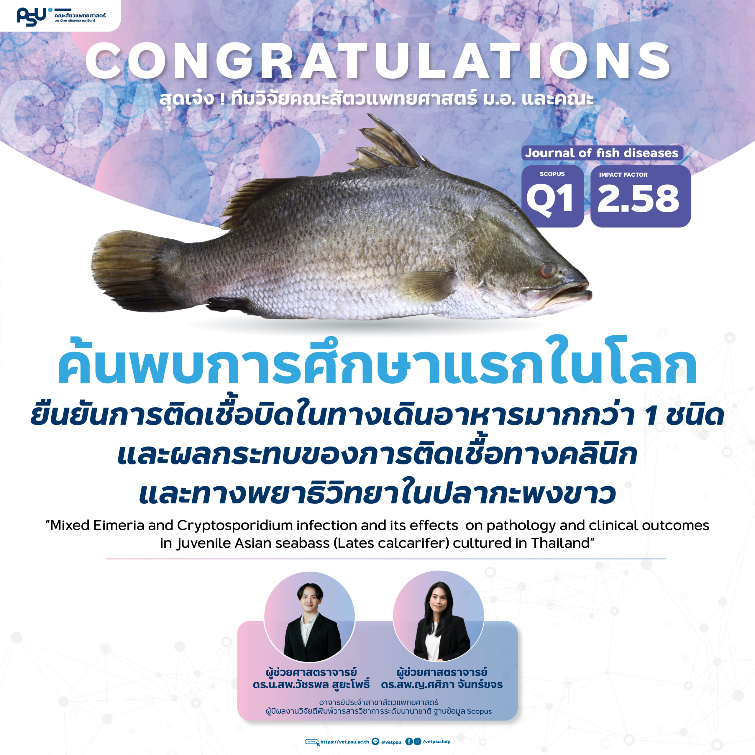 Artboard 1@2x-100 (2)