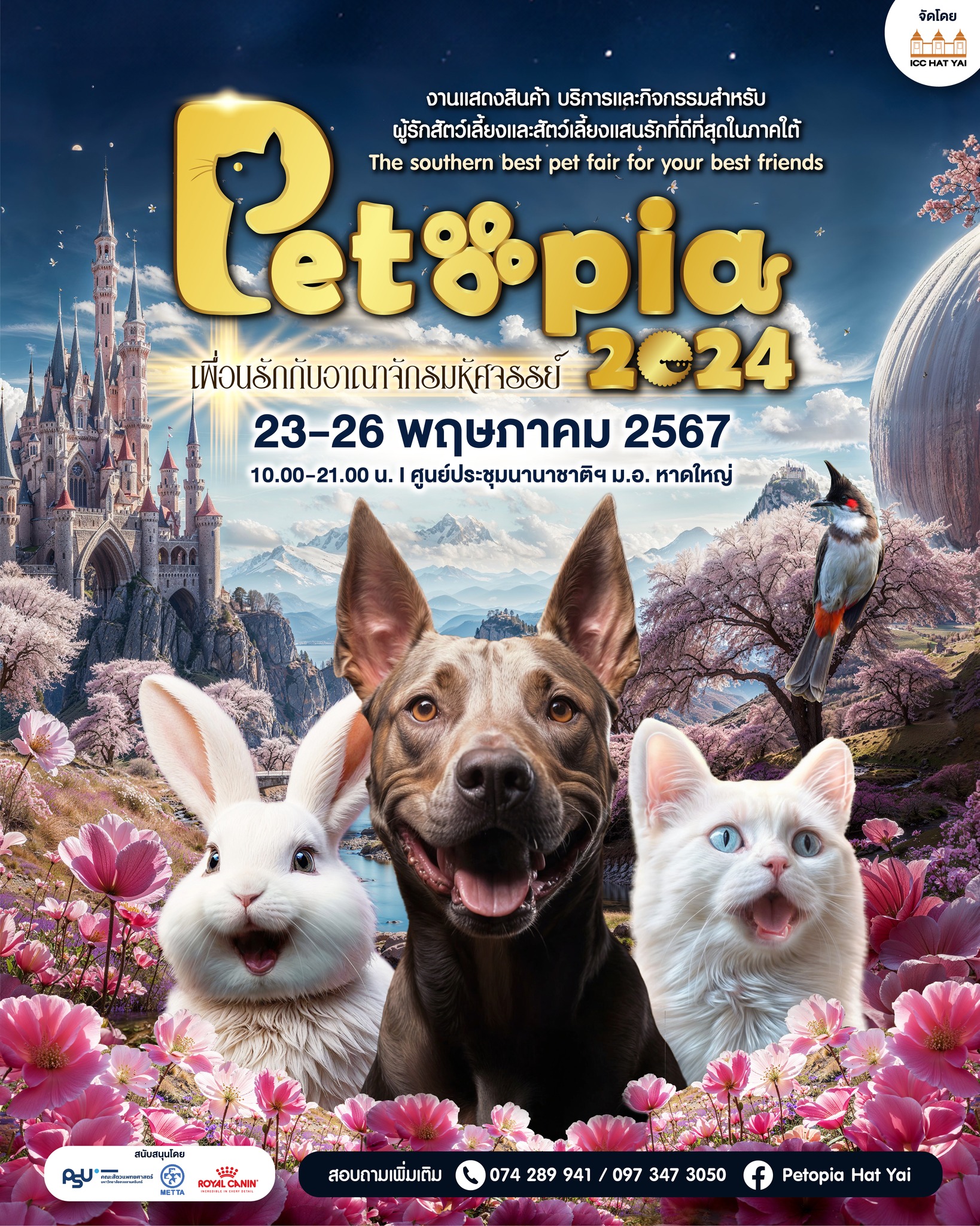 439587387_959047956220785_5029433861323554750_n