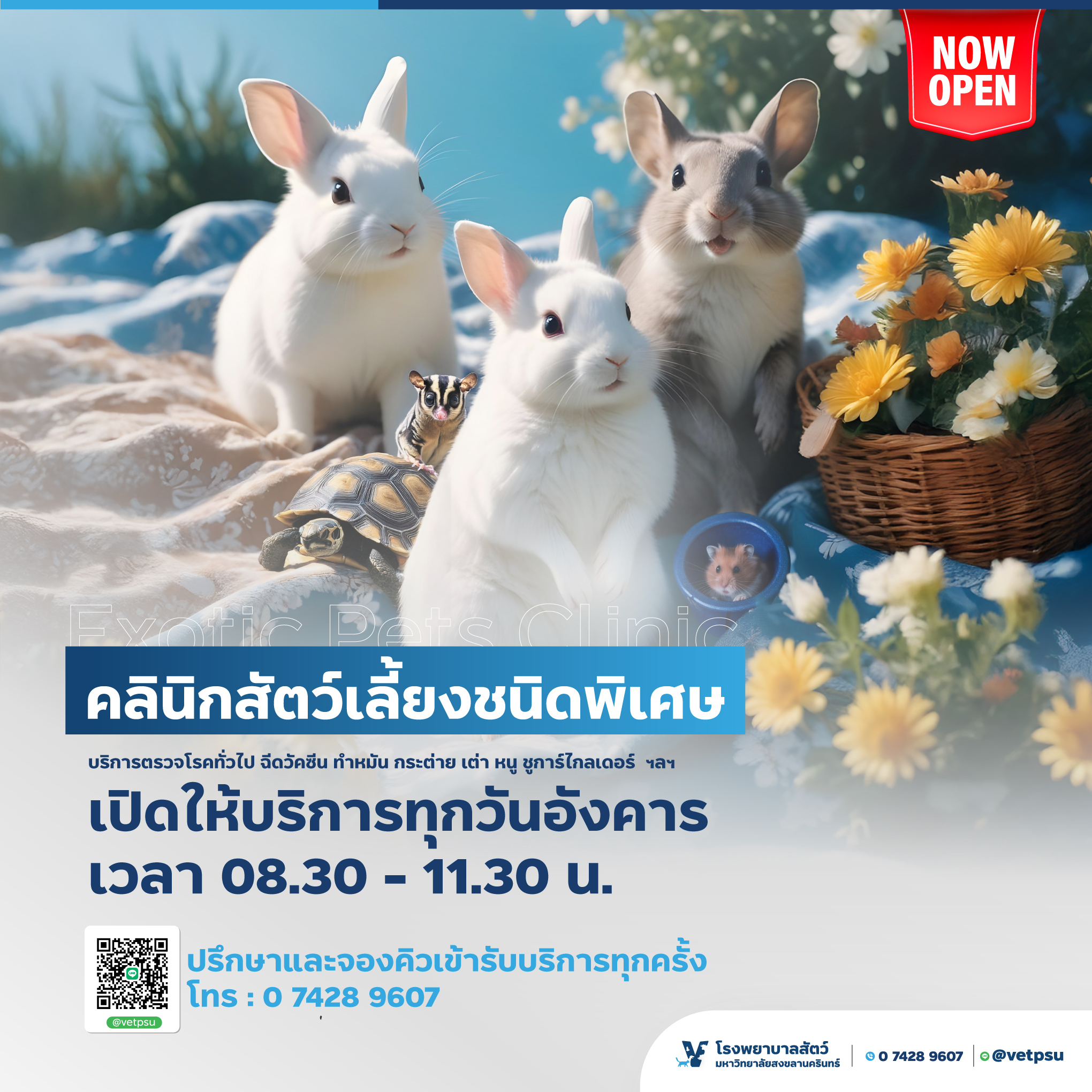 Artwork-เปิดให้บริการคลินิกExotic