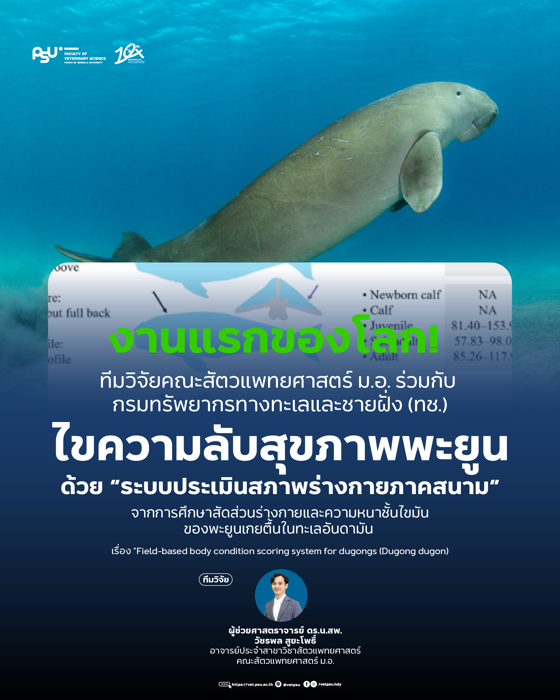 ไขความลับสุขภาพพะยูน